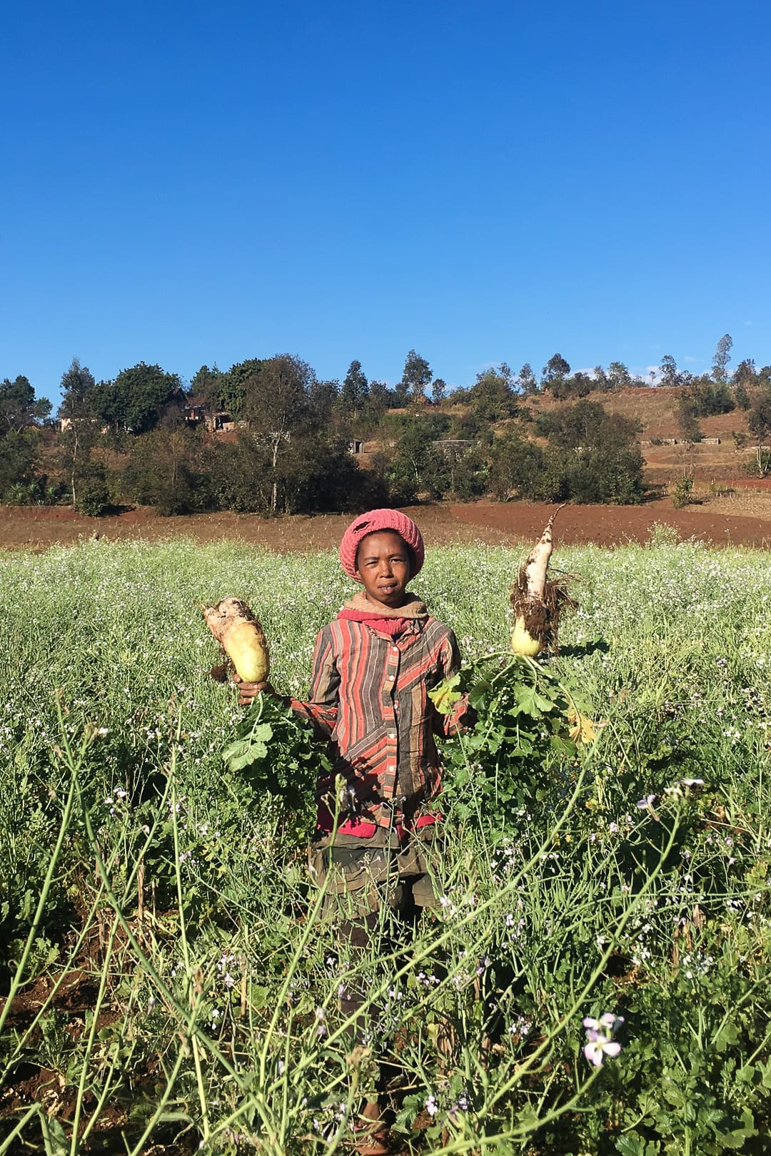 8 ans d'expérimentations